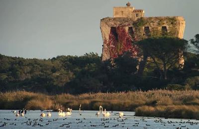 Riserva Naturale e Oasi WWF Lago di Burano