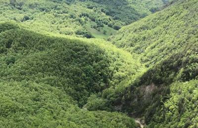 Riserva Regionale e Oasi WWF Bosco Rocconi